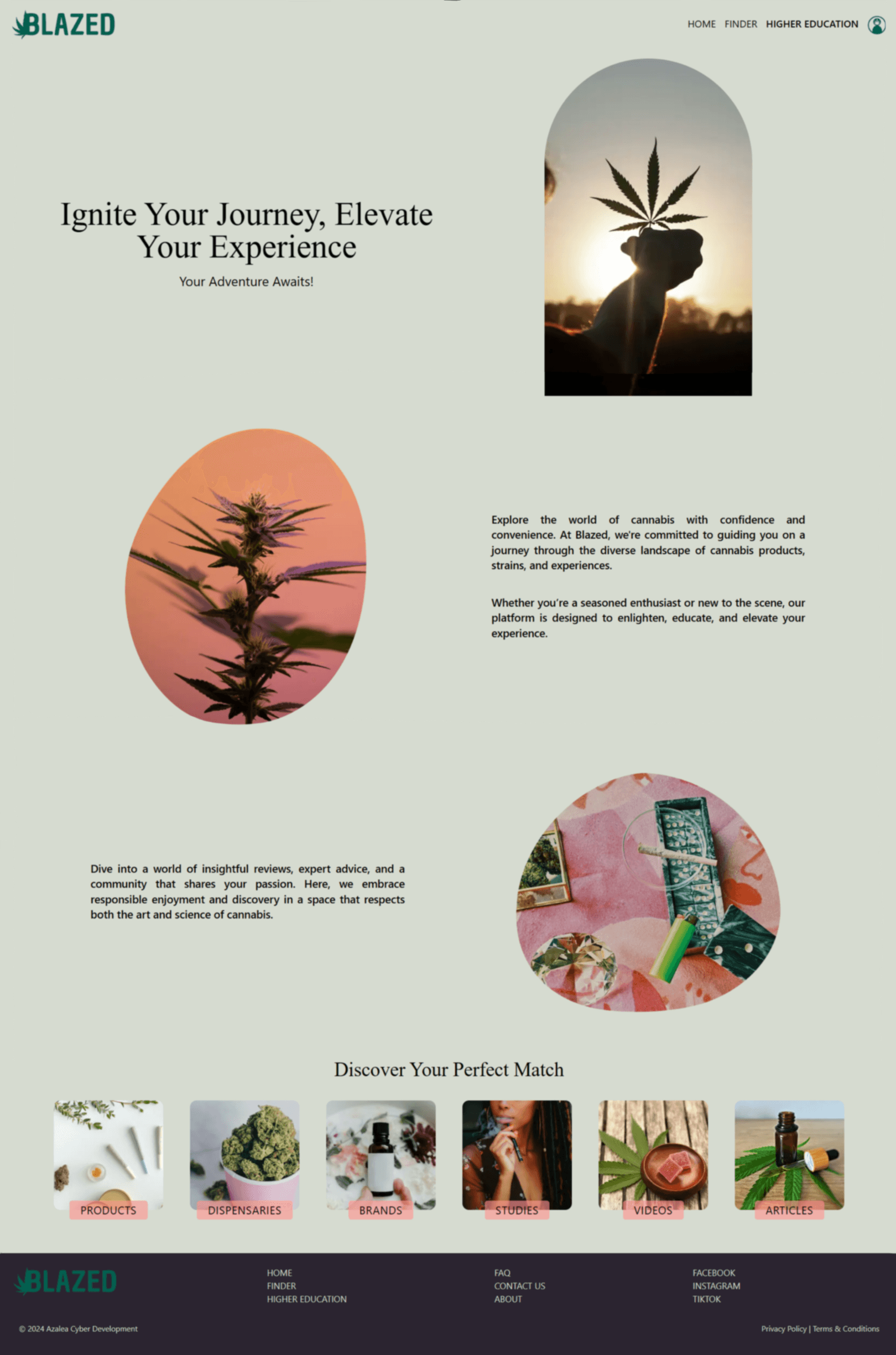 Blazed project preview